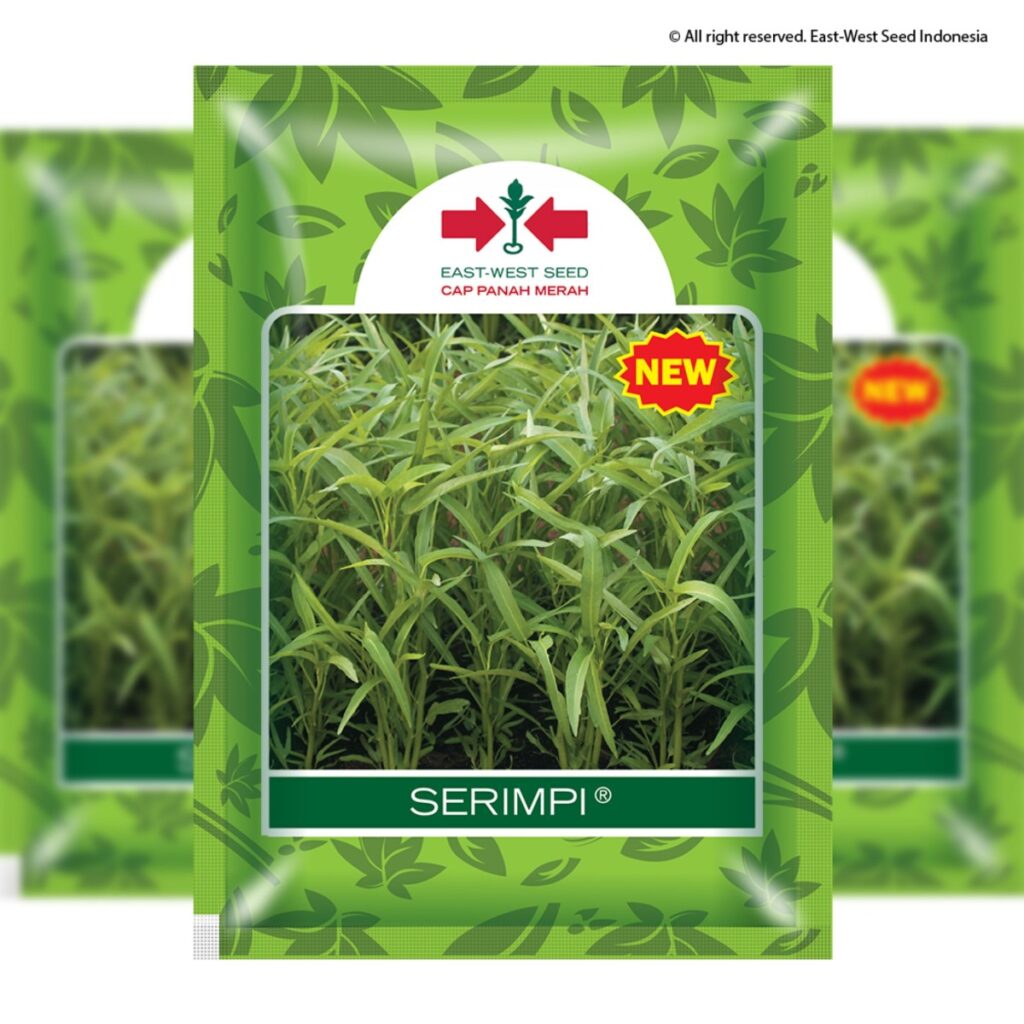 6391597ed5d79 20221208102654 1