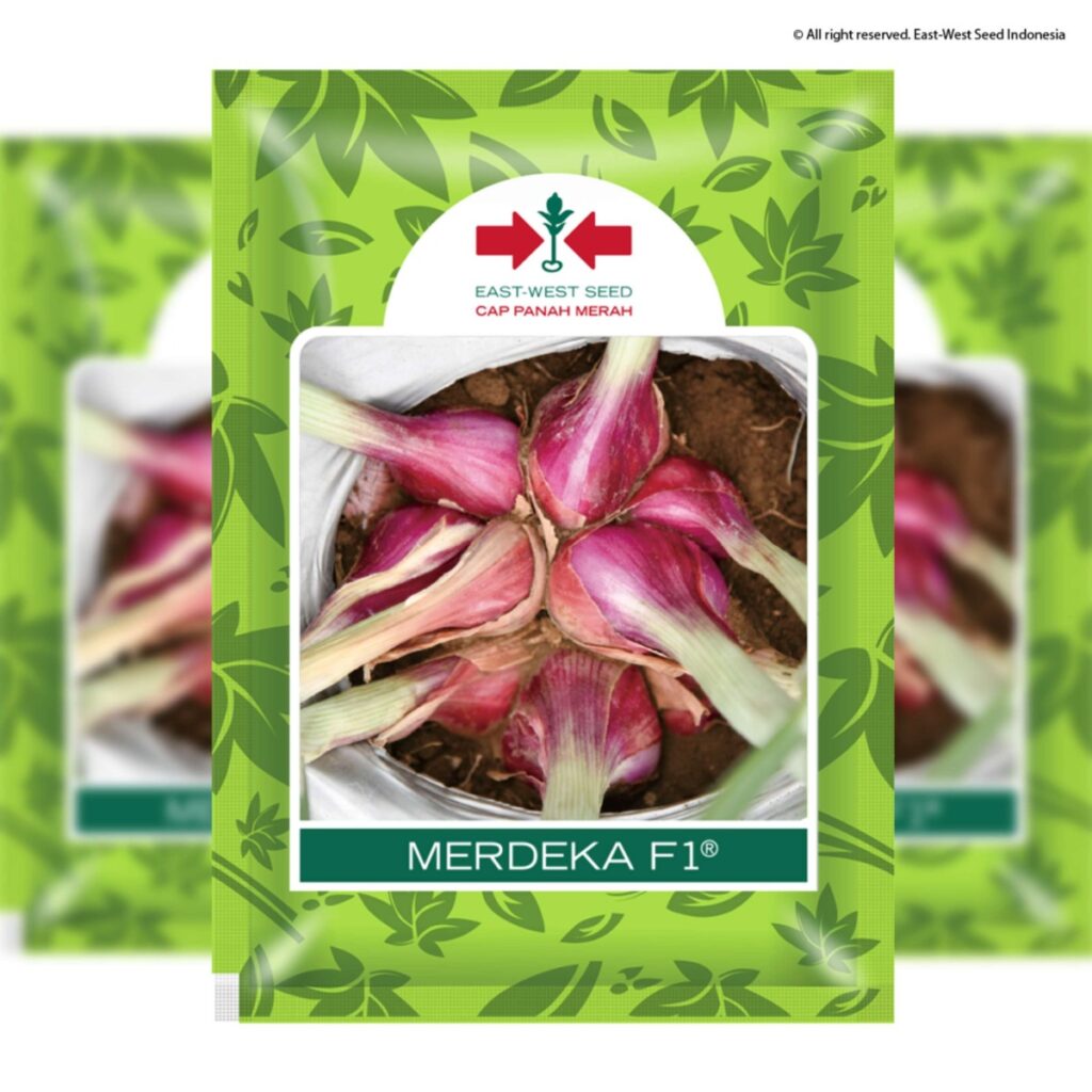 66cc41eea9714 20240826155054 1