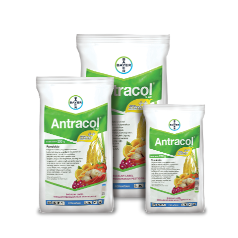 antracol ps new web480x480