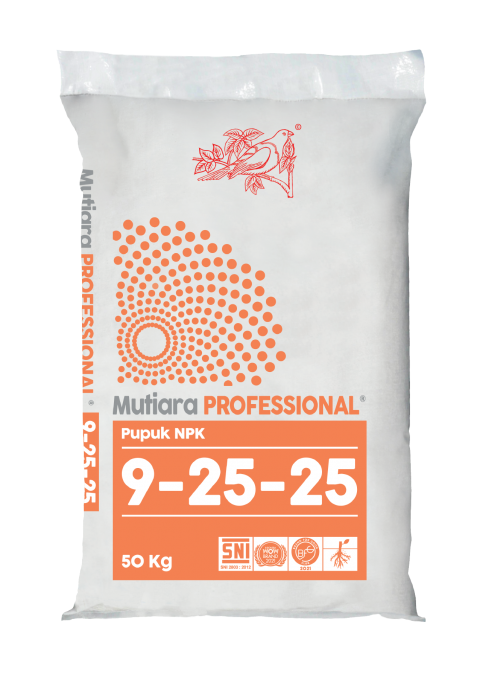 meroke professionalasset 1@3x medium